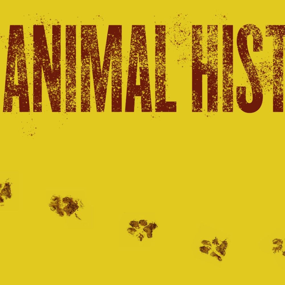 Animal History's avatar