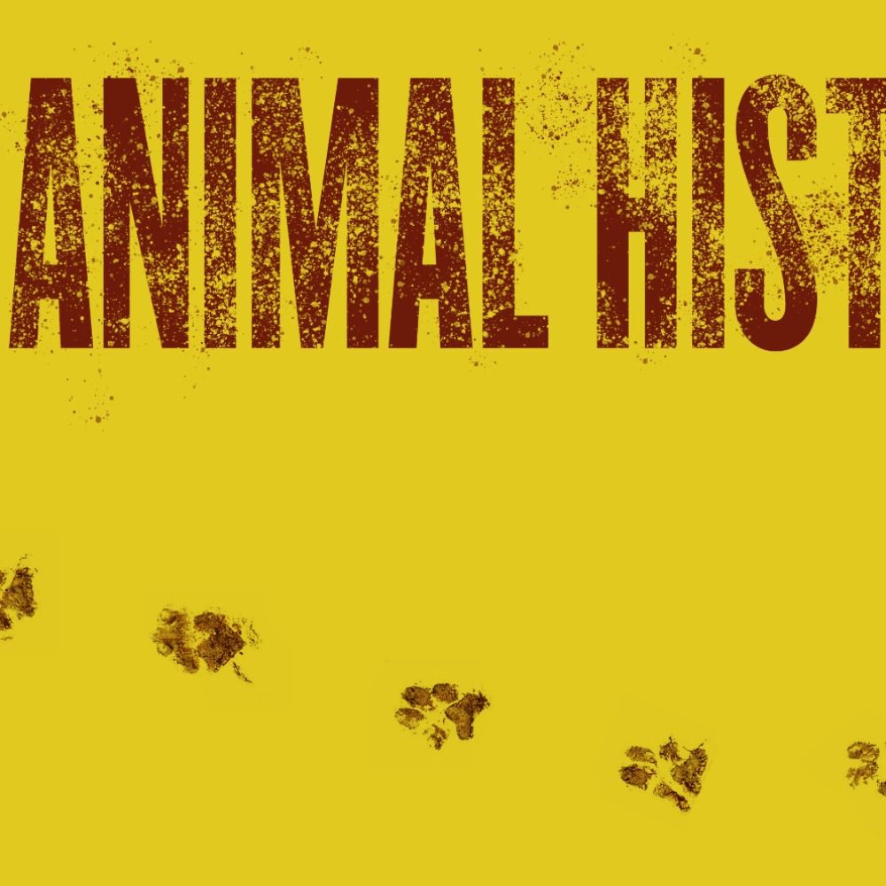 Animal History