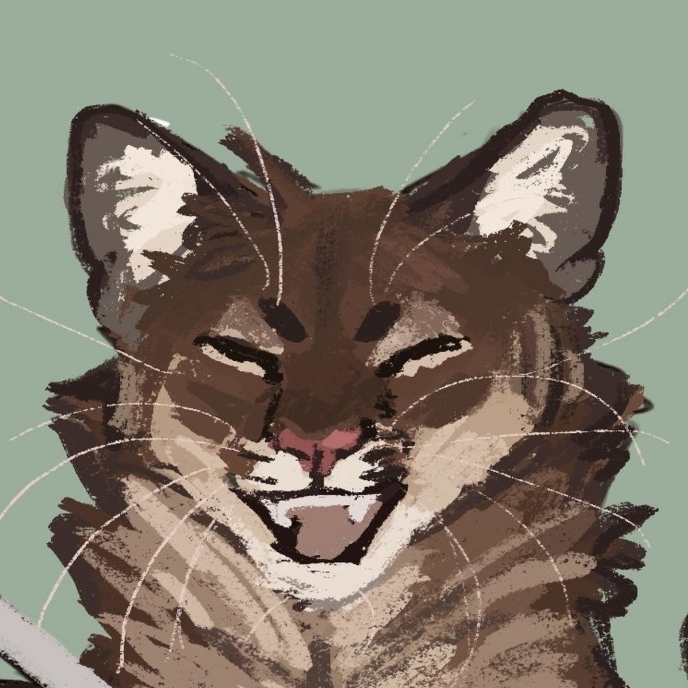 Spring Tabby