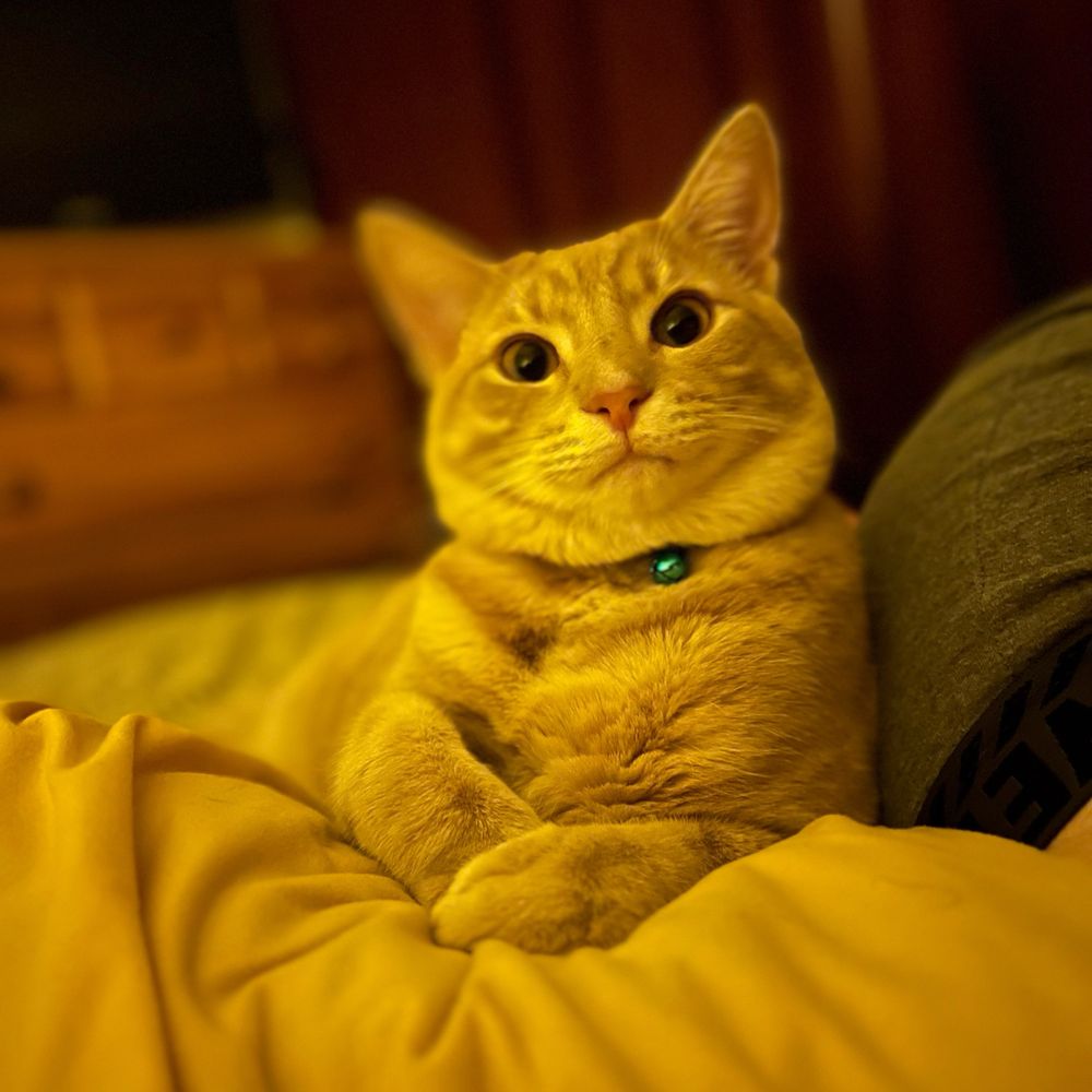 Oh, hello
