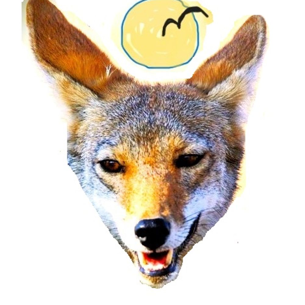 Coywolf Club