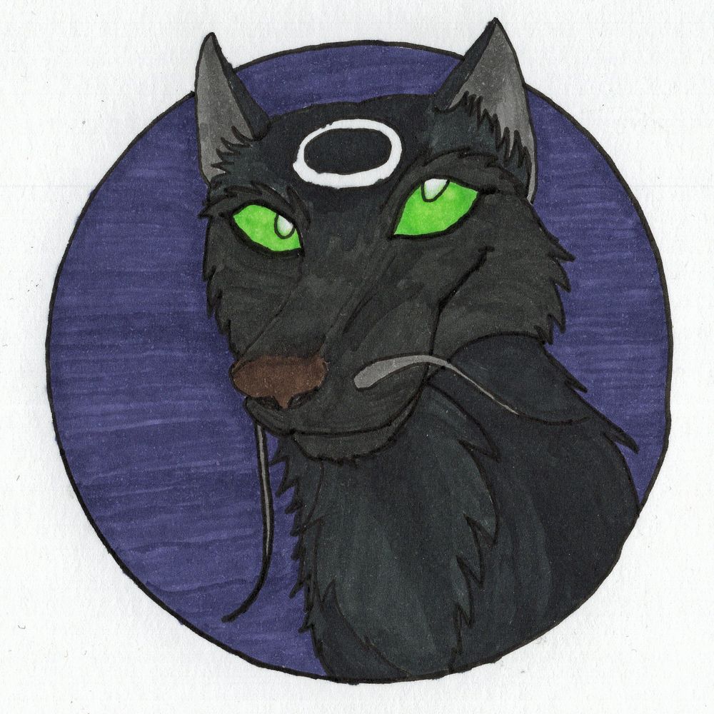 lupusastartis.bsky.social profile picture