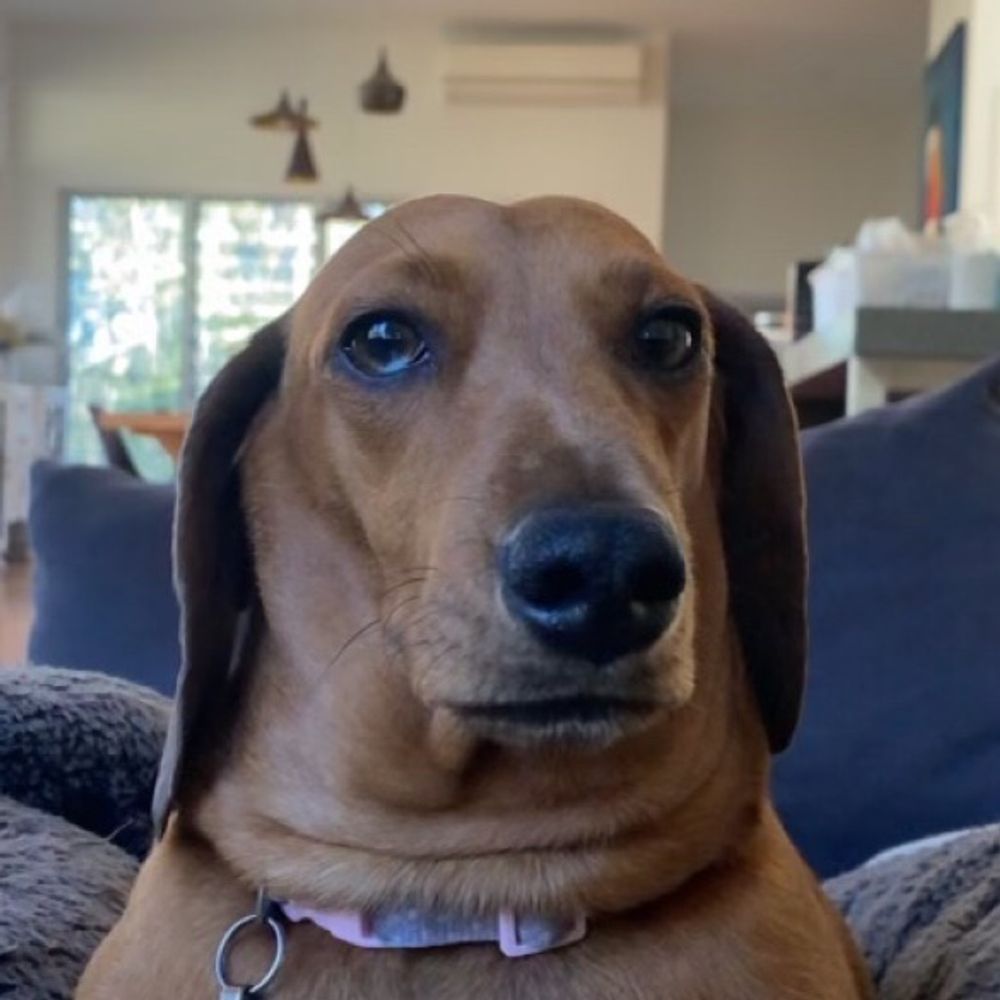 Lu