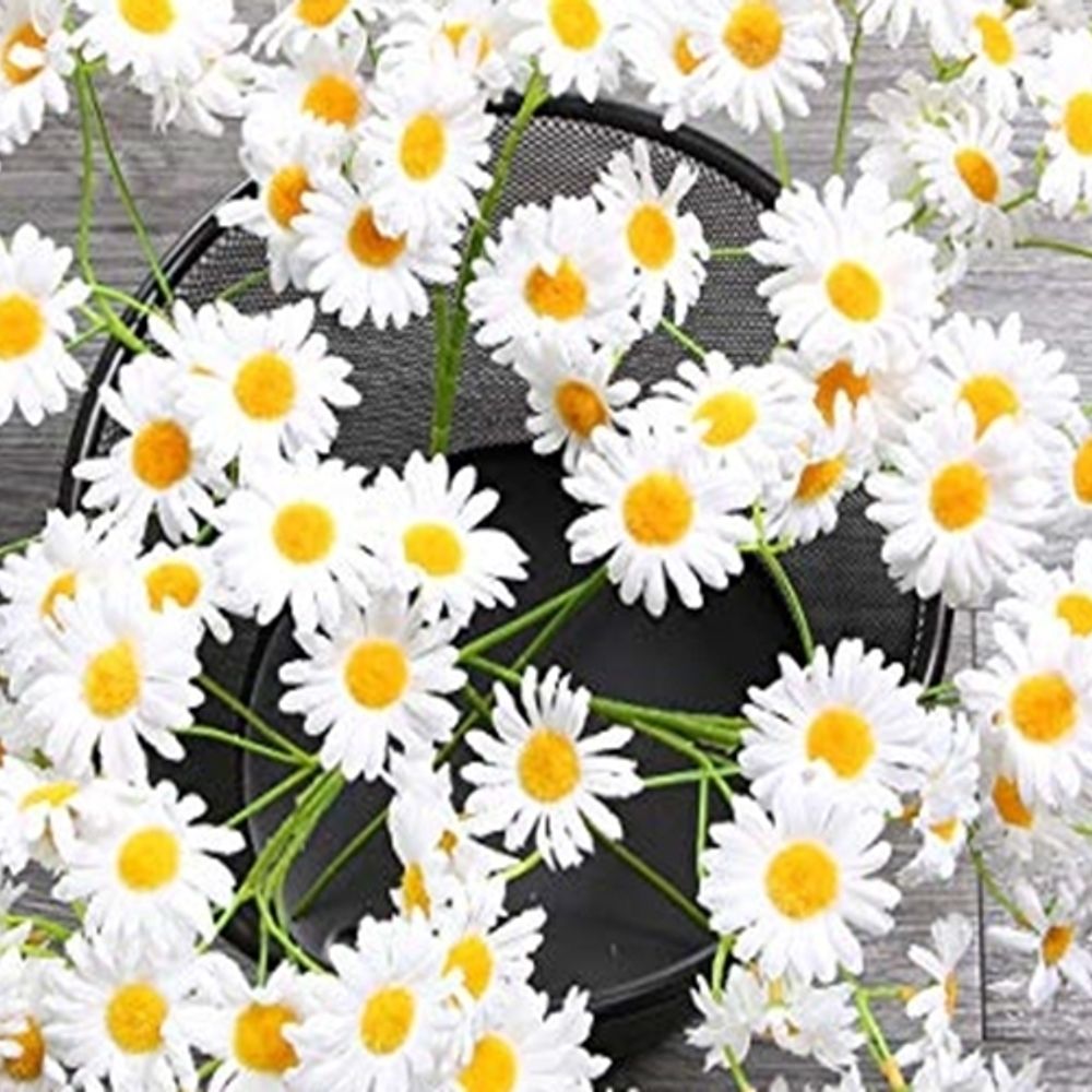 🌼
