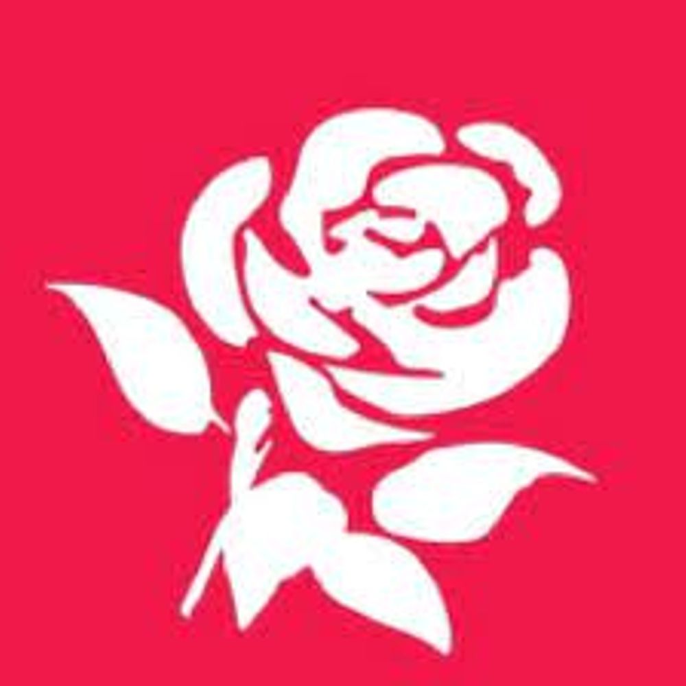 Profile picture putneylabour.bsky.social