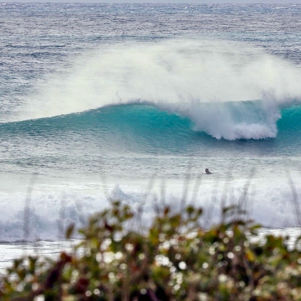 Surf Taiwan