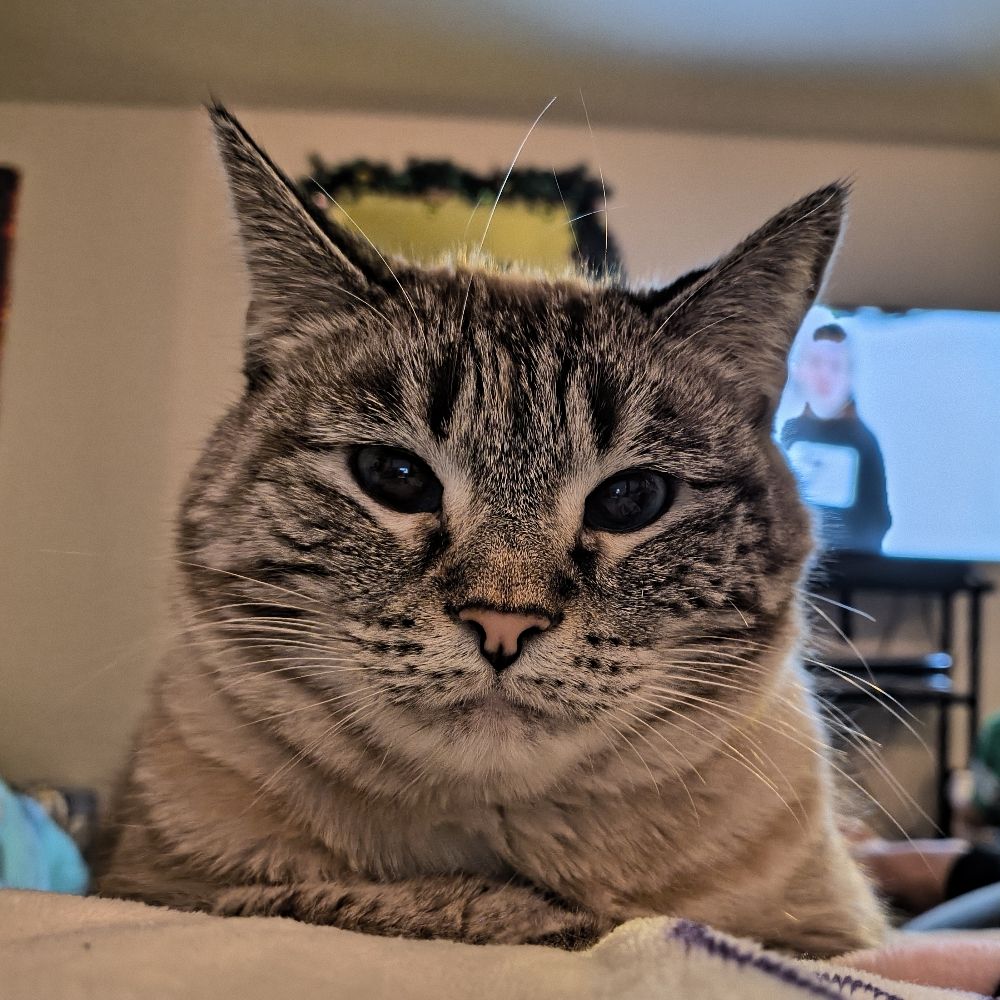 karko 👁️