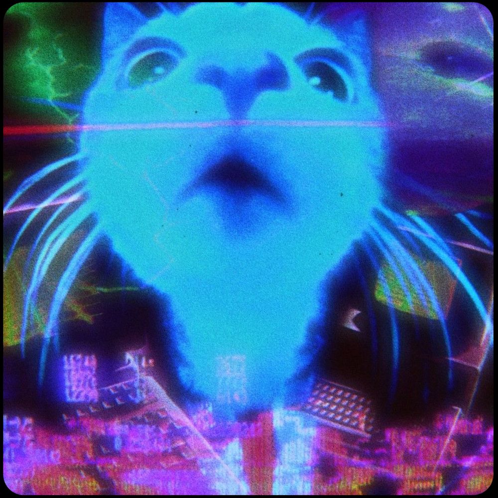 zi