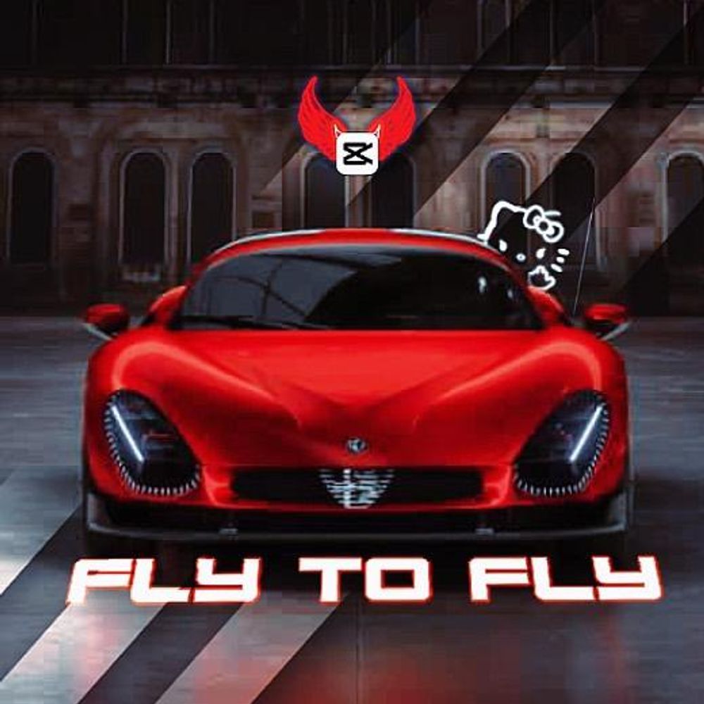 Fly to fly