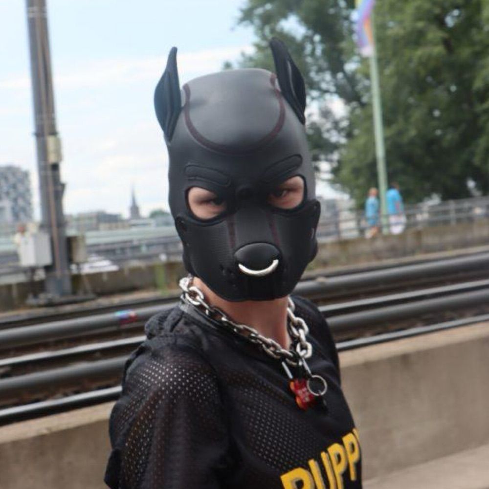Puppy_Rokko