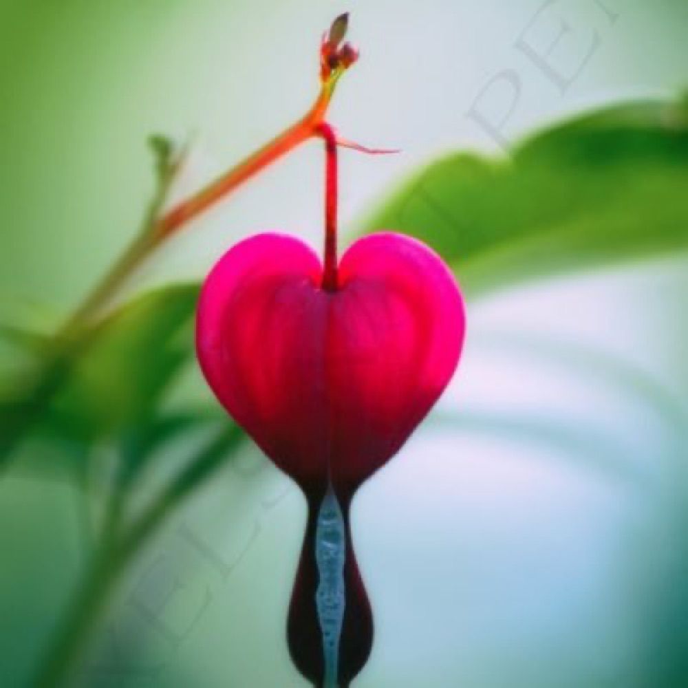 lamparek5.bsky.social