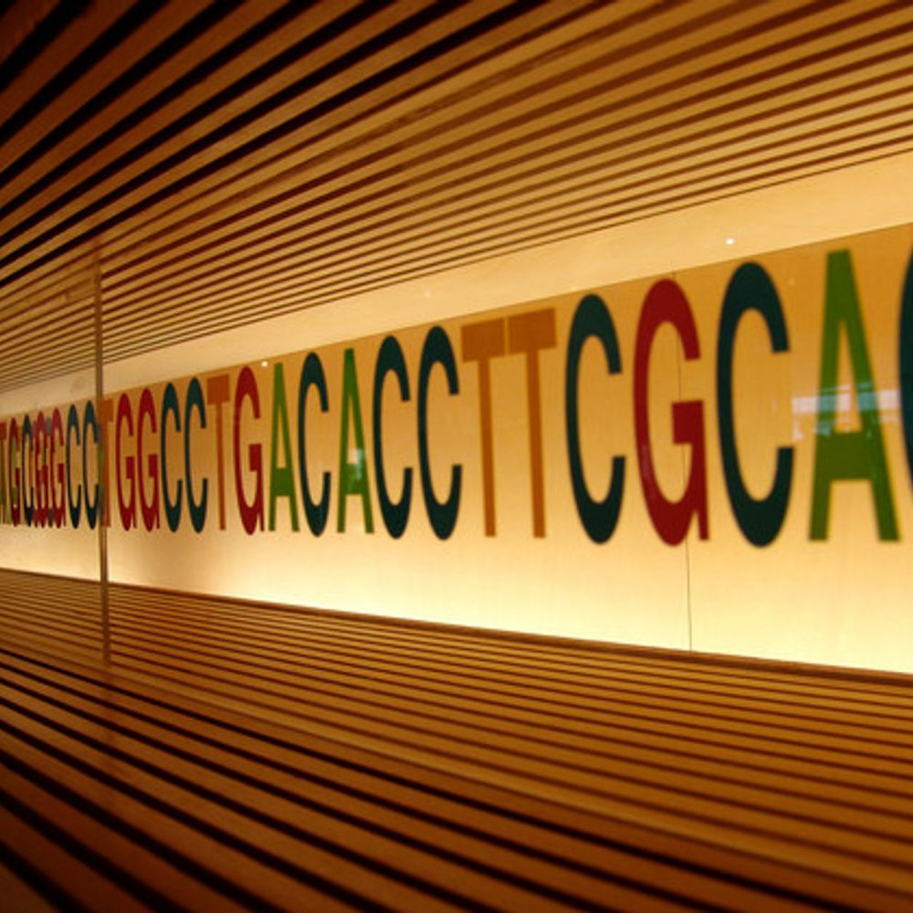 Ripke Lab for Statistical Genetics