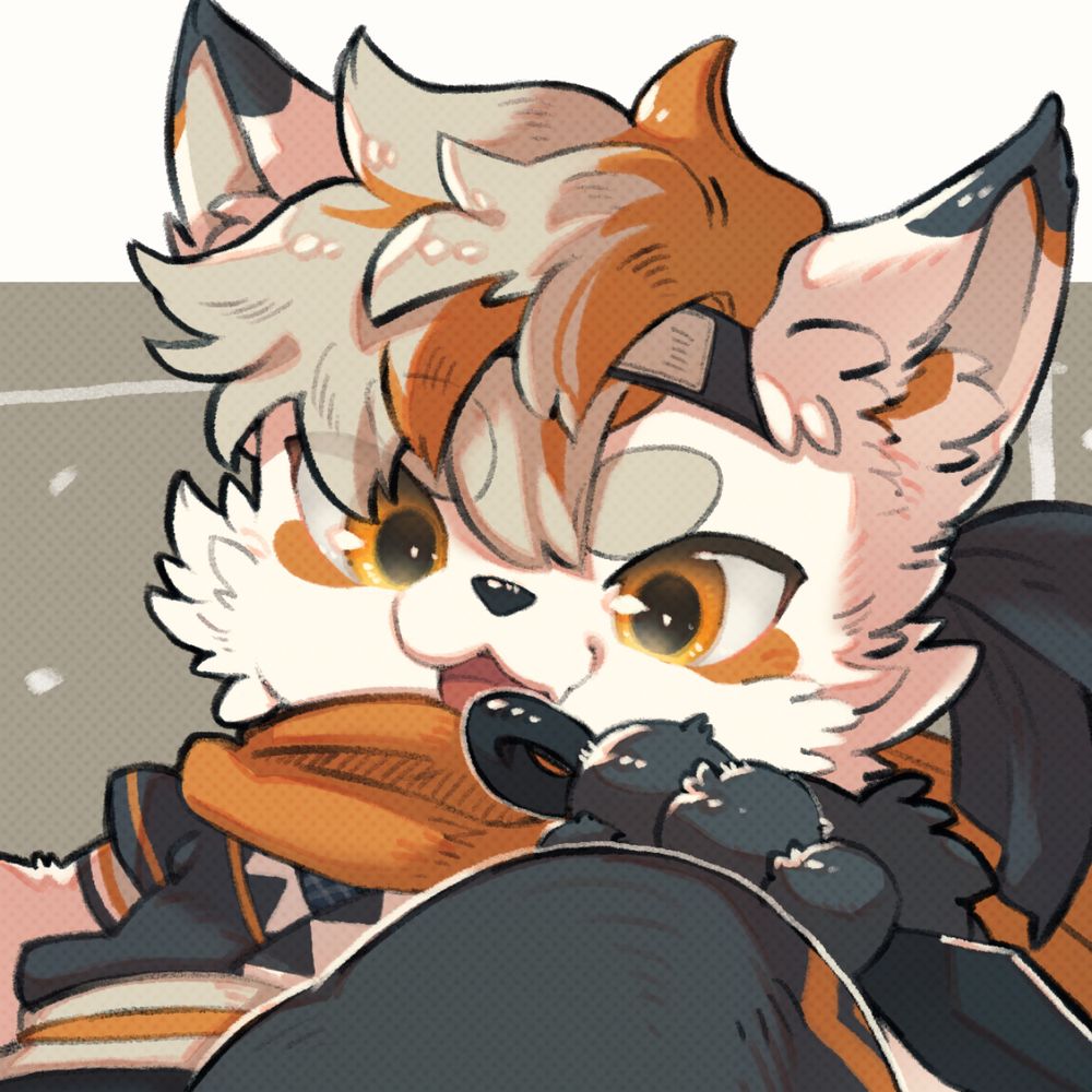 FALSE...?🥷@カイル🦊