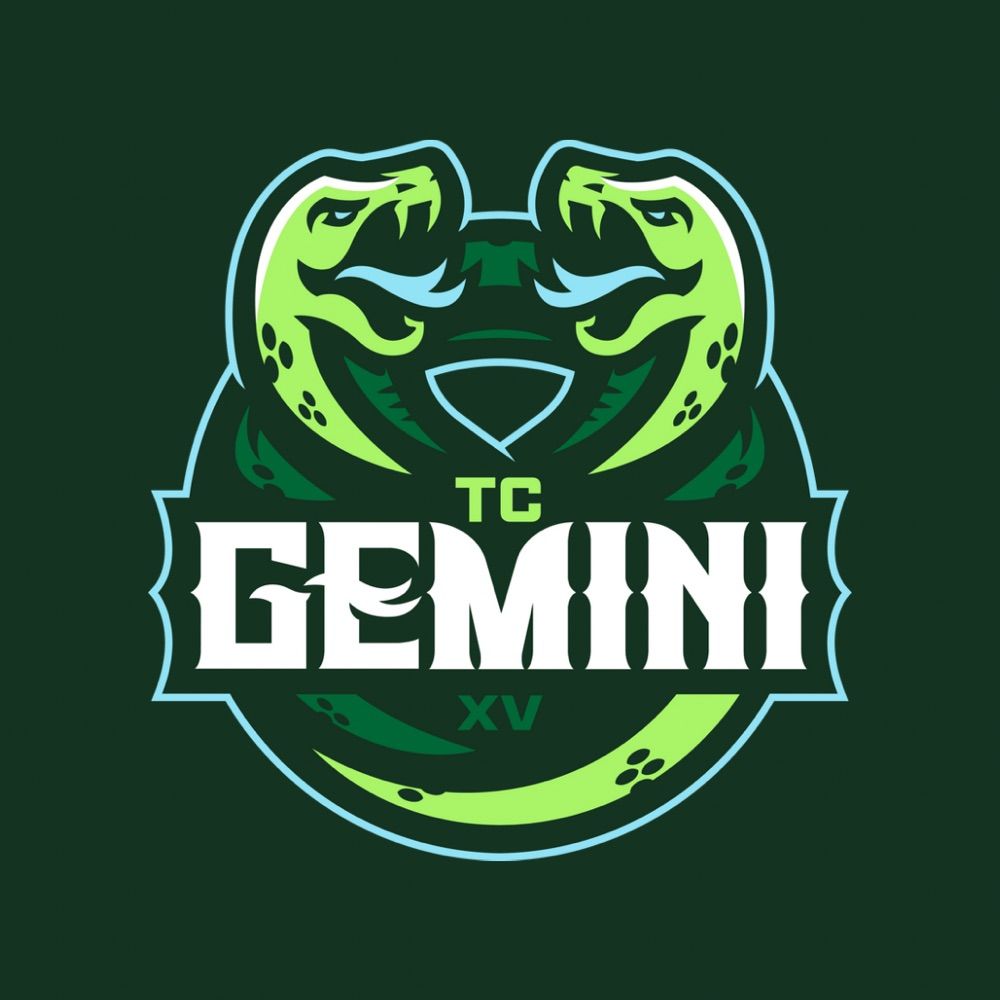 T.C. Gemini