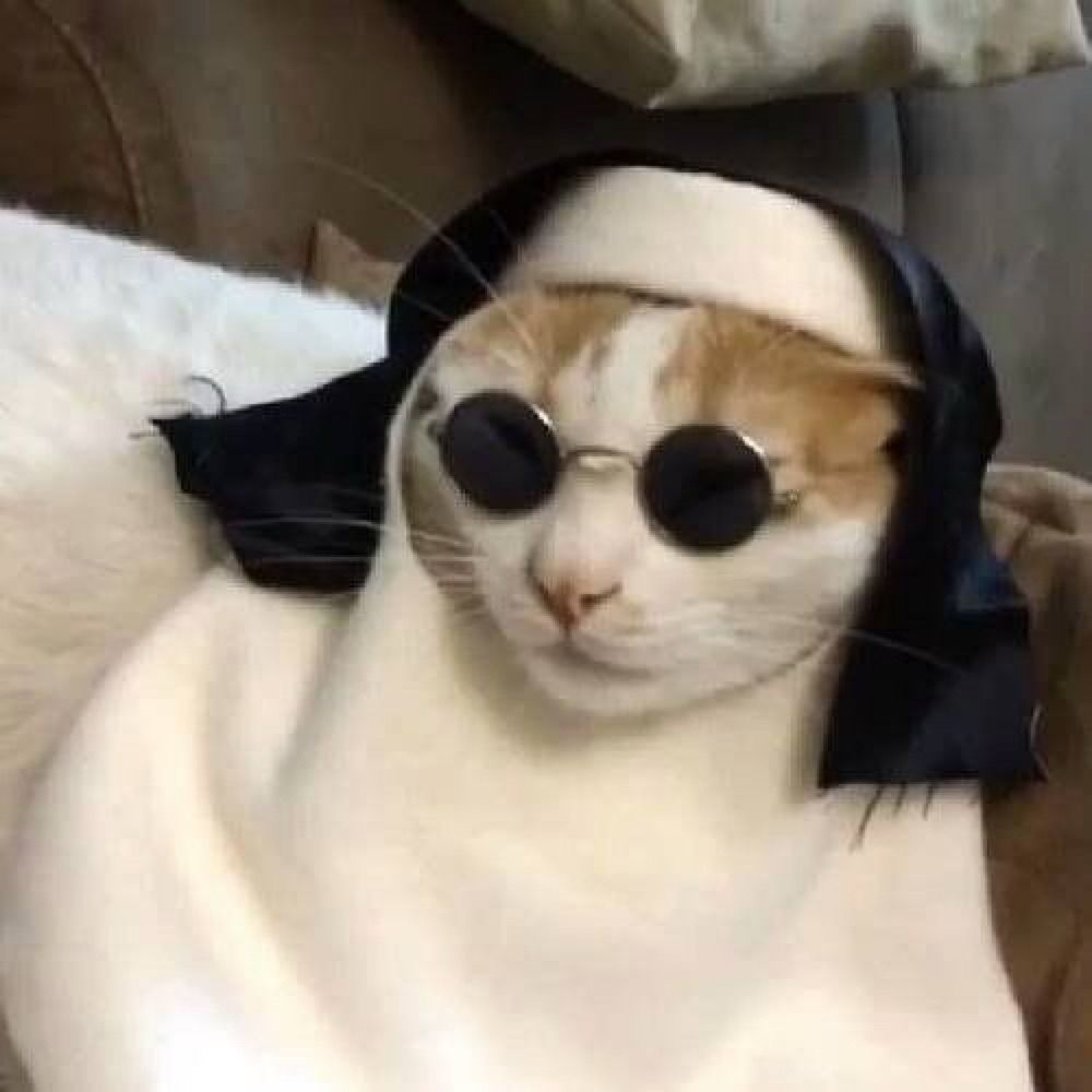 Tayná 🔮