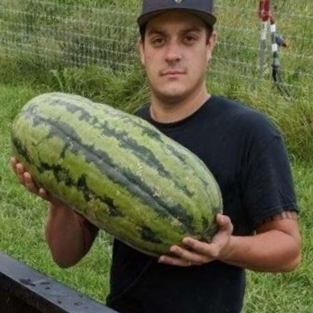 joeg