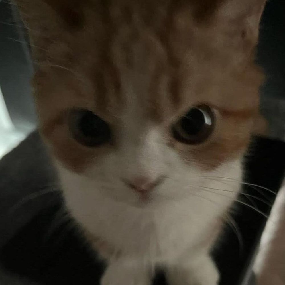 gabriel