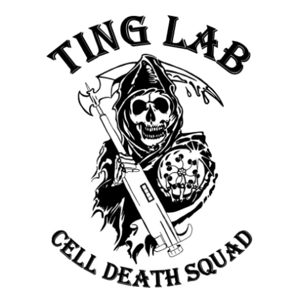 Ting Lab