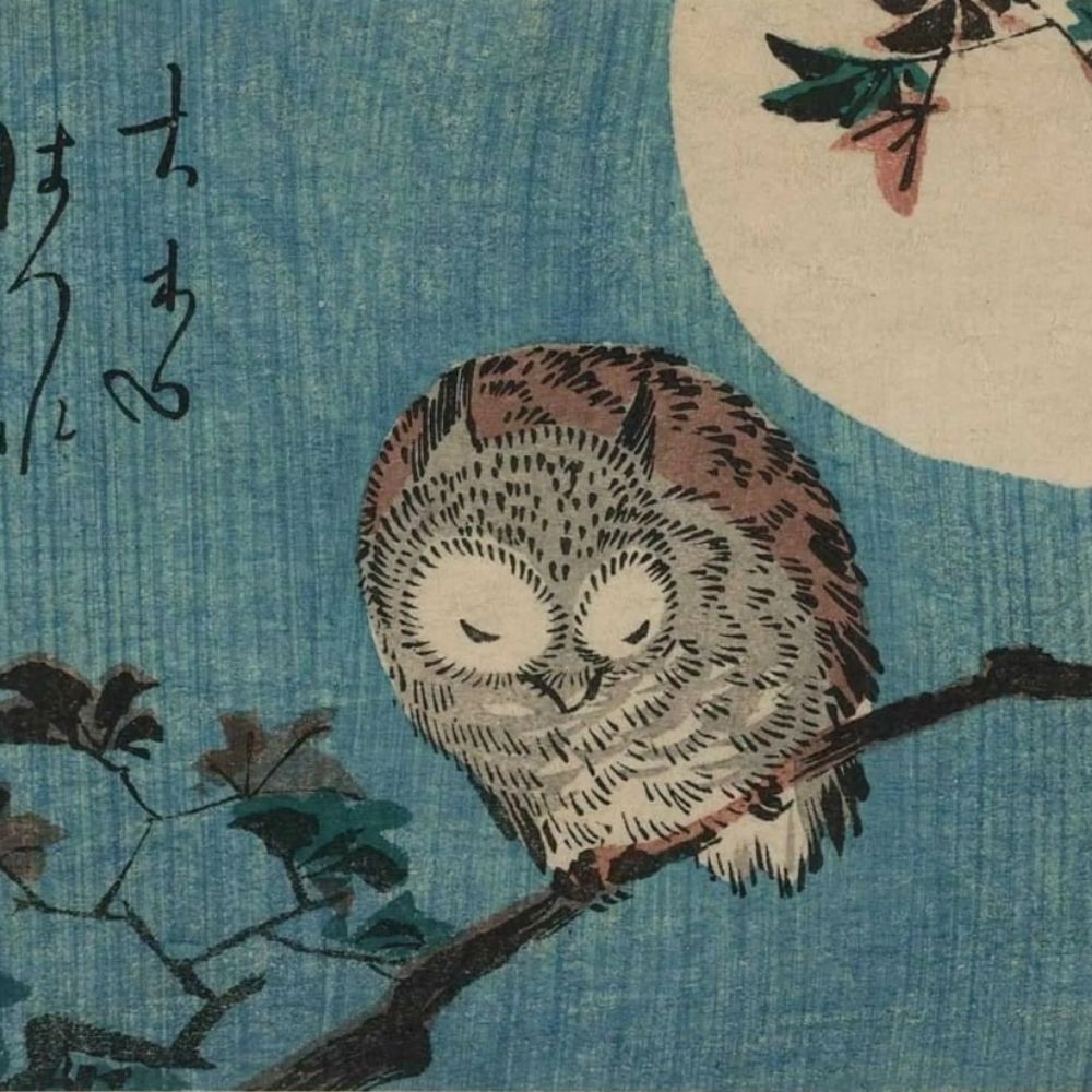 hoot_monk
