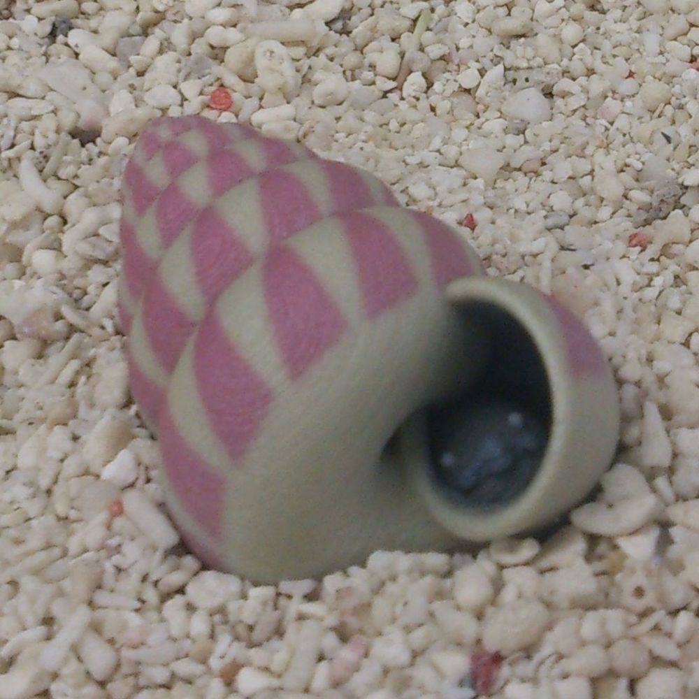 みなしまはつき