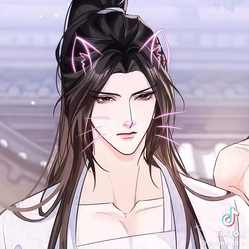 Kitty Heart 🤍