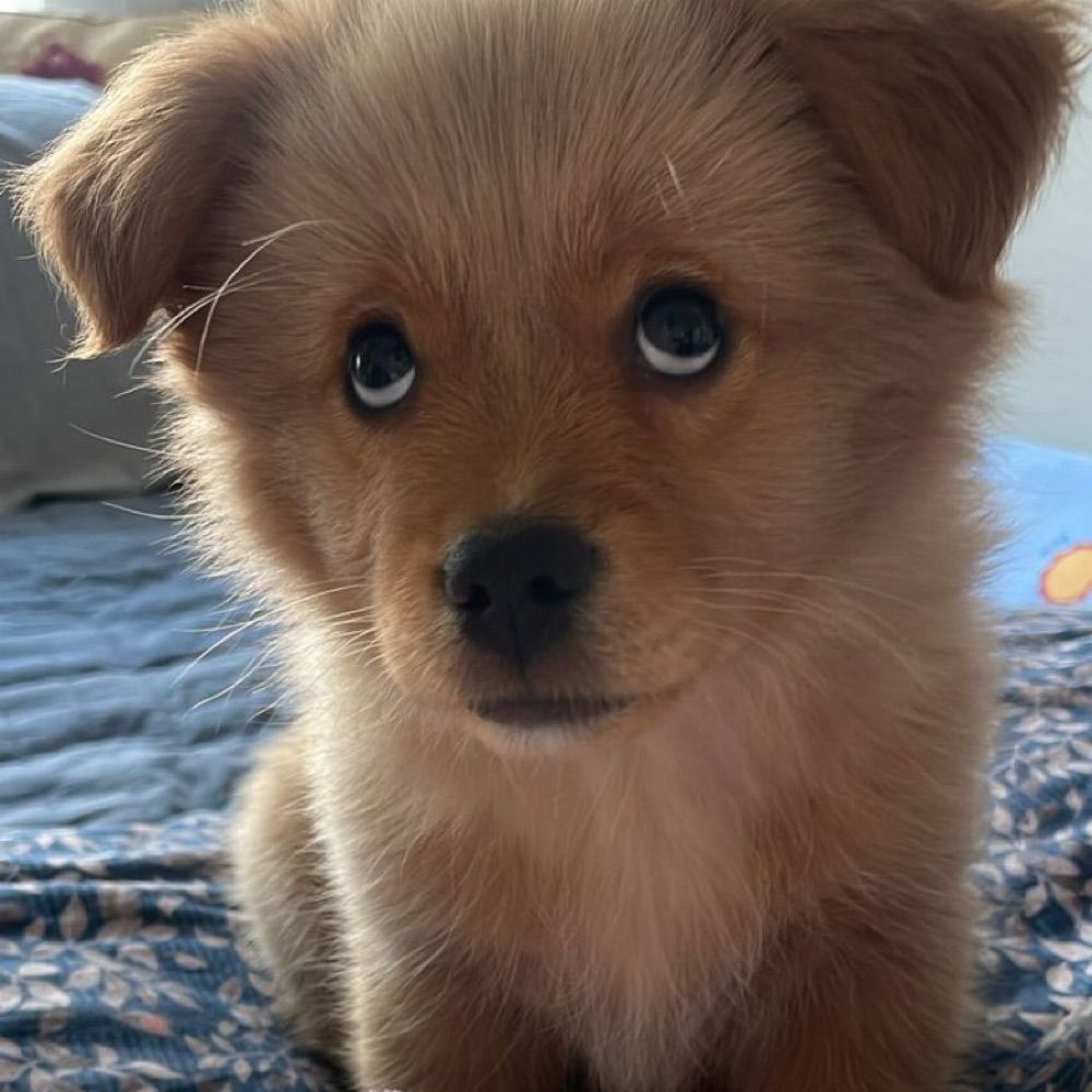이여로