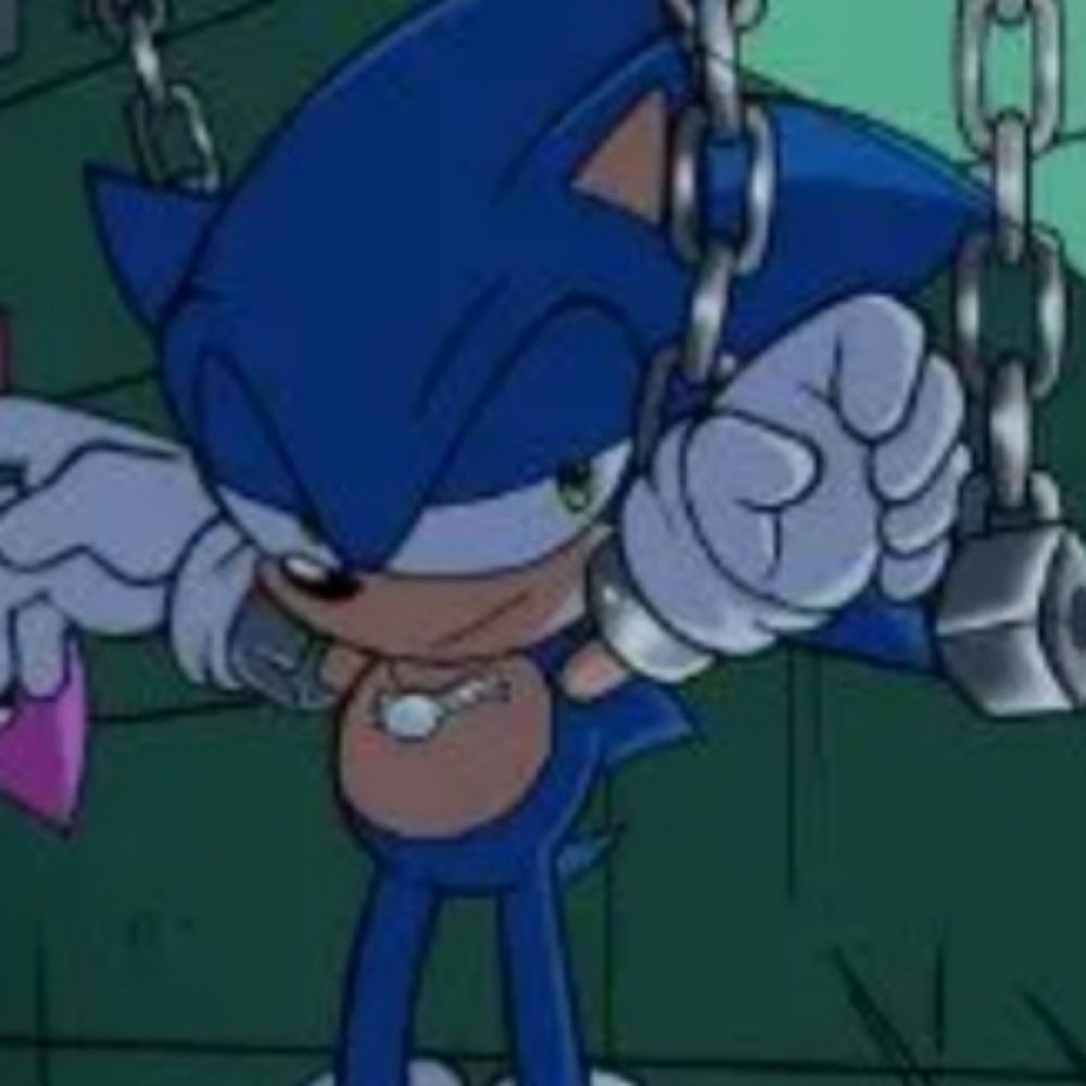 Sonic T. H