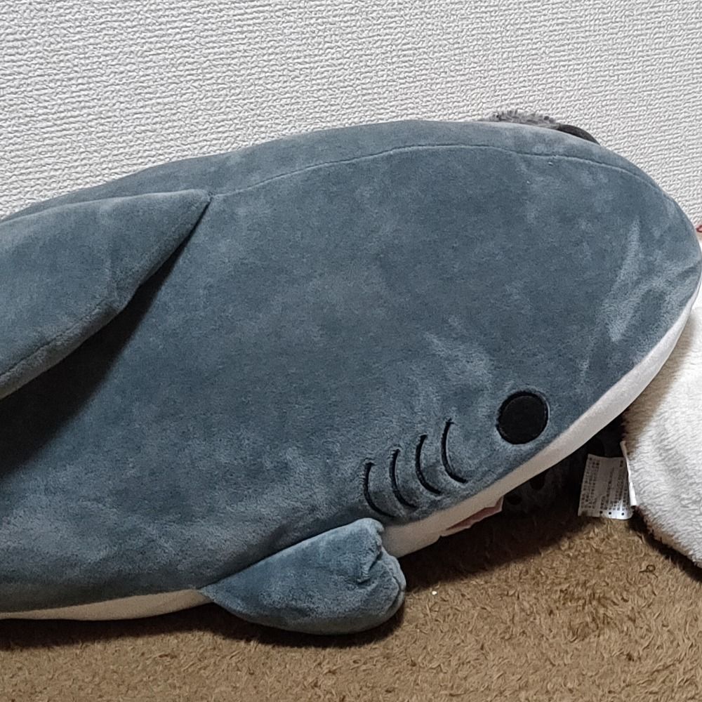 きの