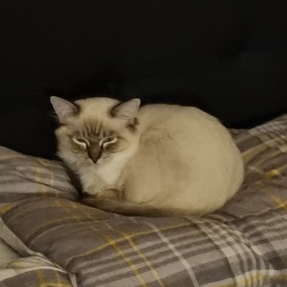 MJB