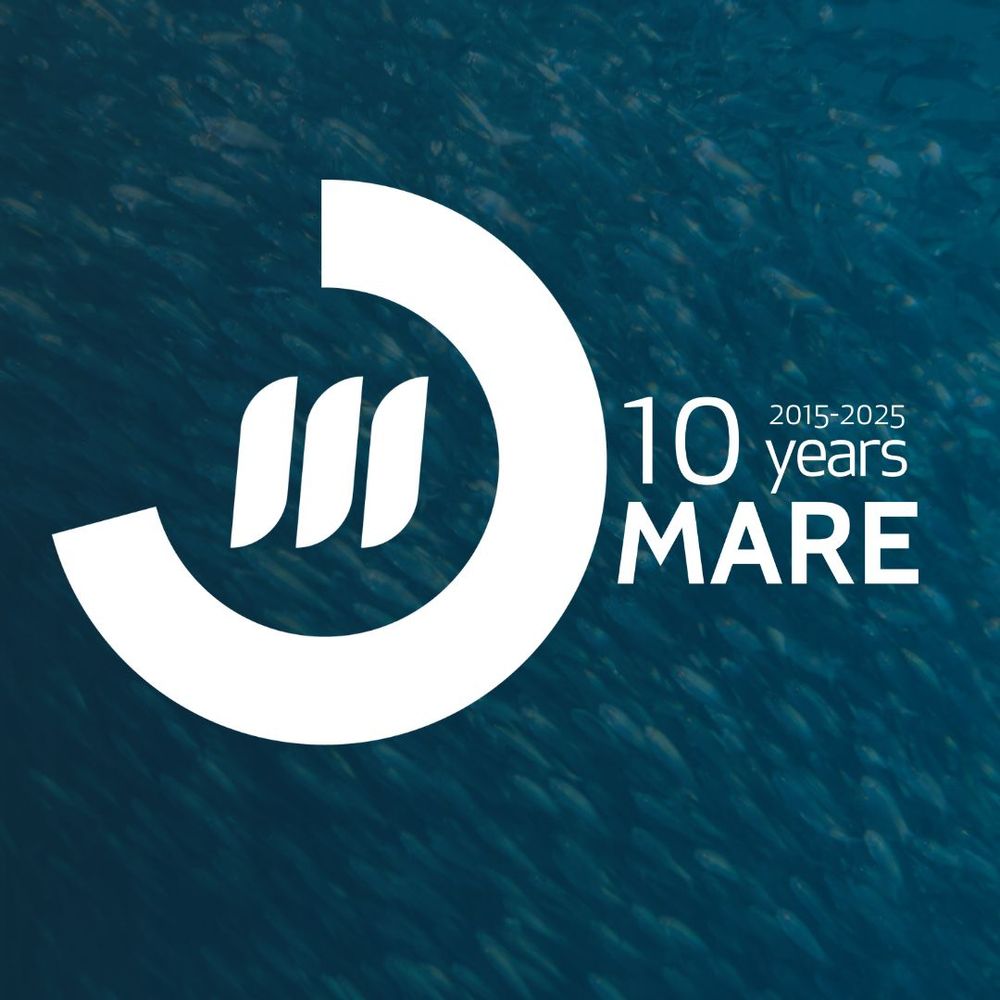 MARE