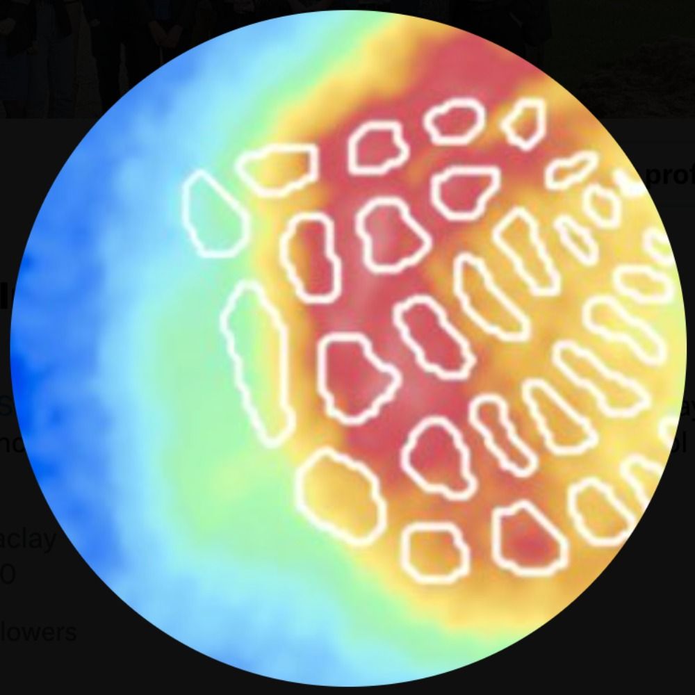 Sensori-motor Integration and Plasticity Lab