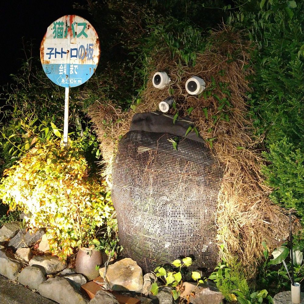 リブ