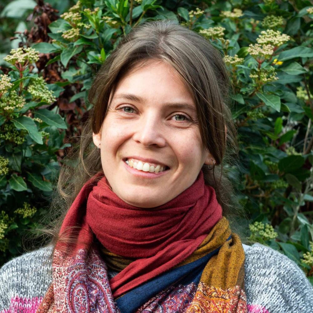 Noémi Ujházy