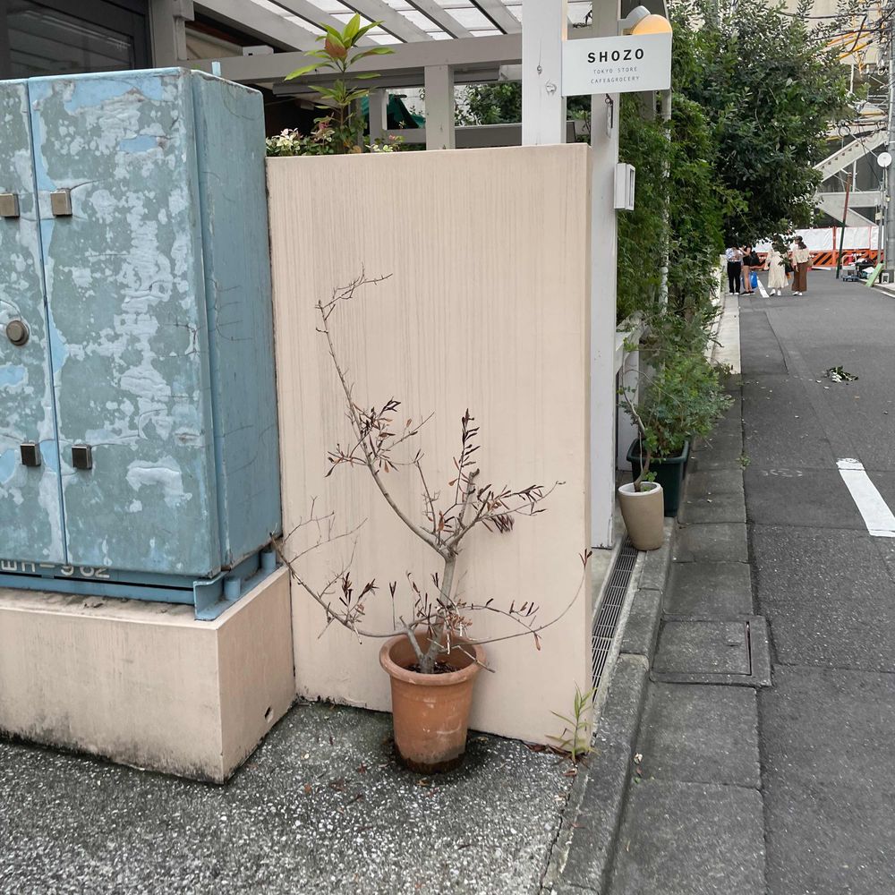たまころ
