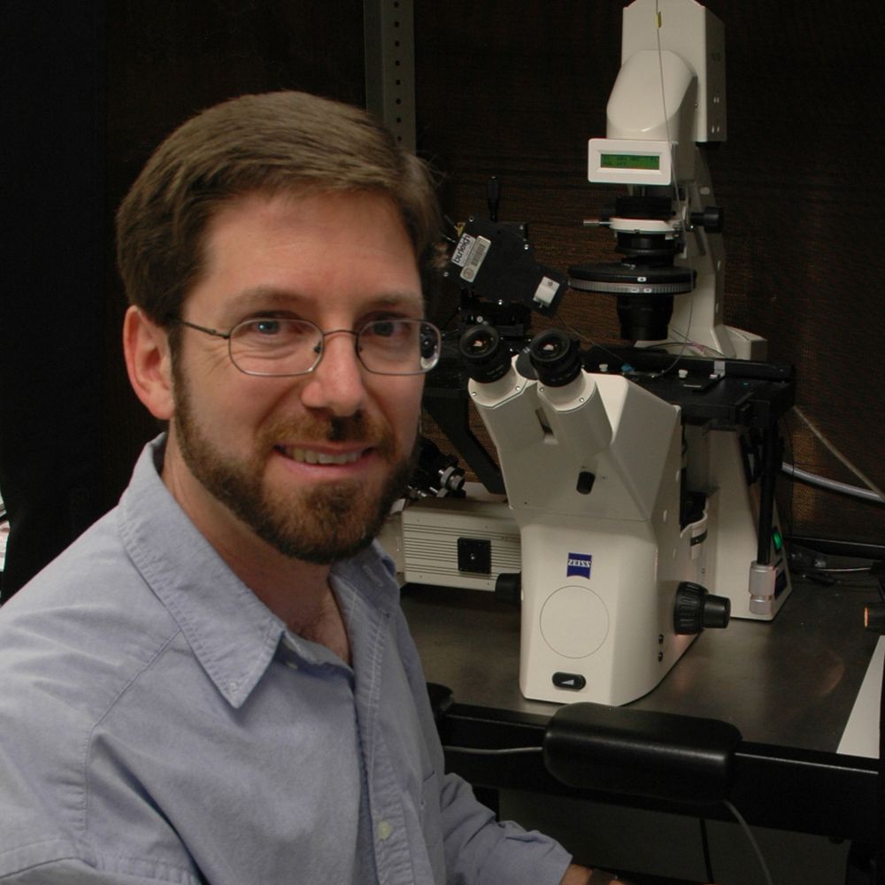 John O'Brien
