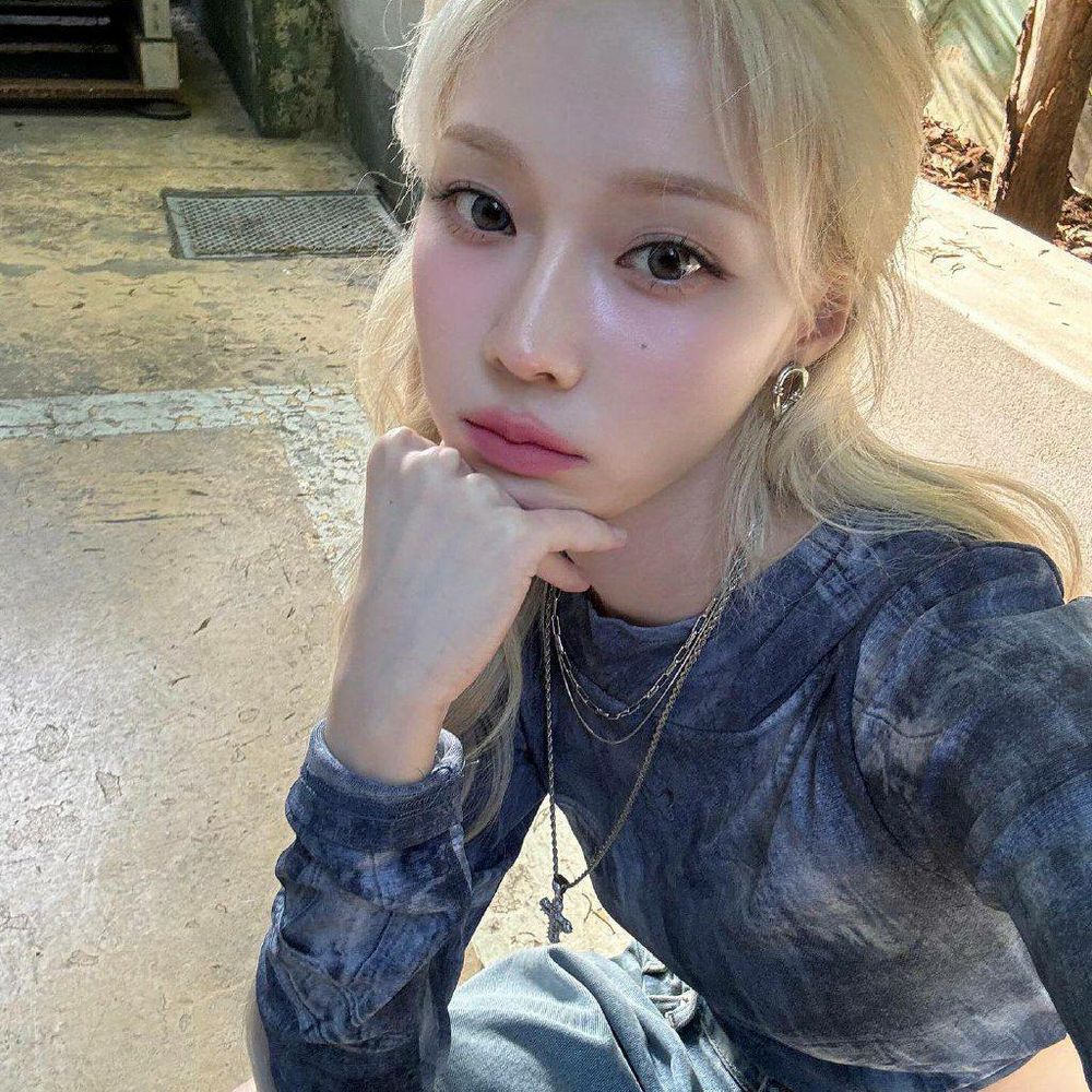 risa.