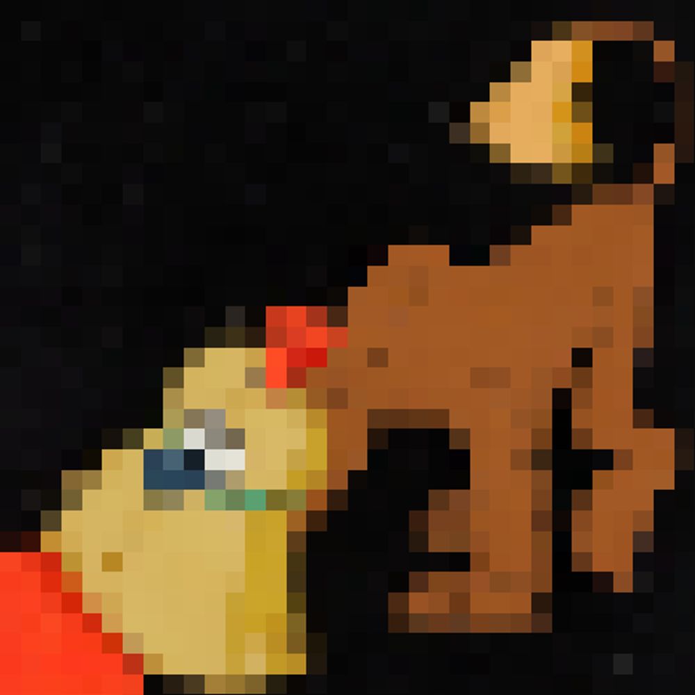 broomd0g