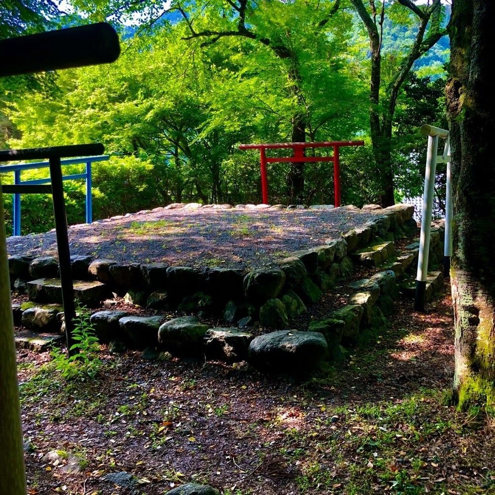 kinosy(takahiro)