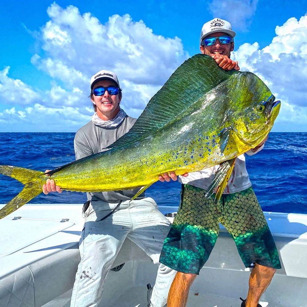 look at this fish