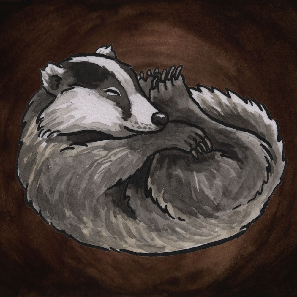 Fe (he/him) ~ Sleepy Badger Games
