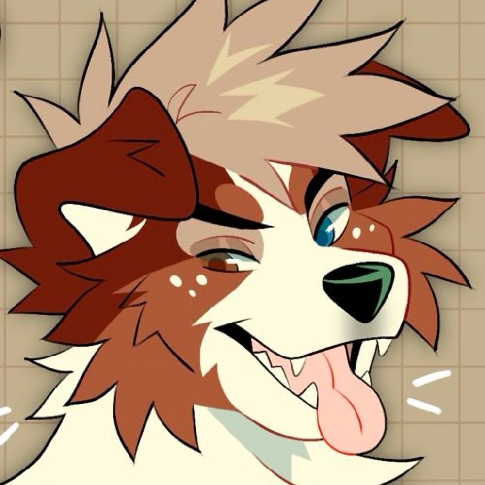 Reese Collie