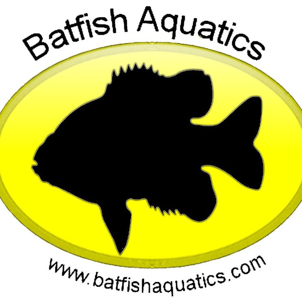 Batfish Aquatics