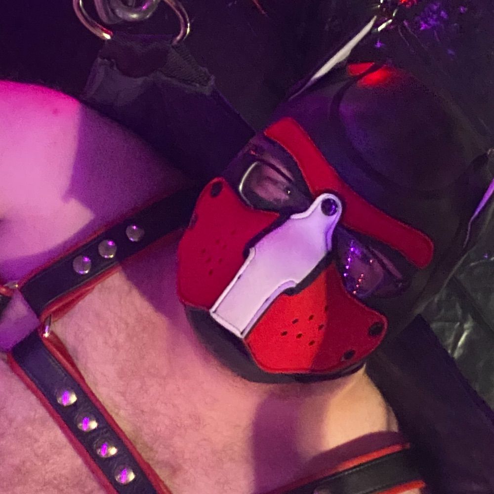 Pup Spike
