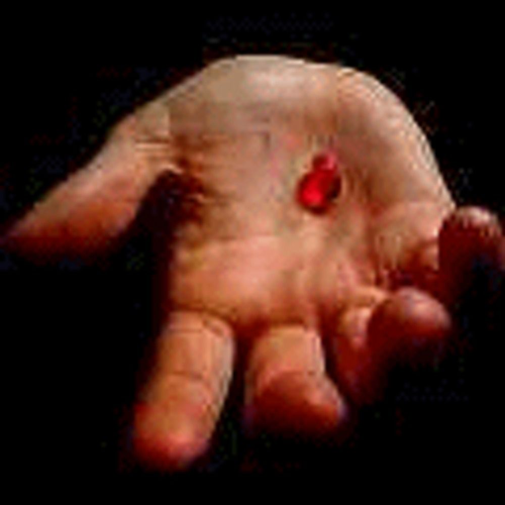 The red pill jp