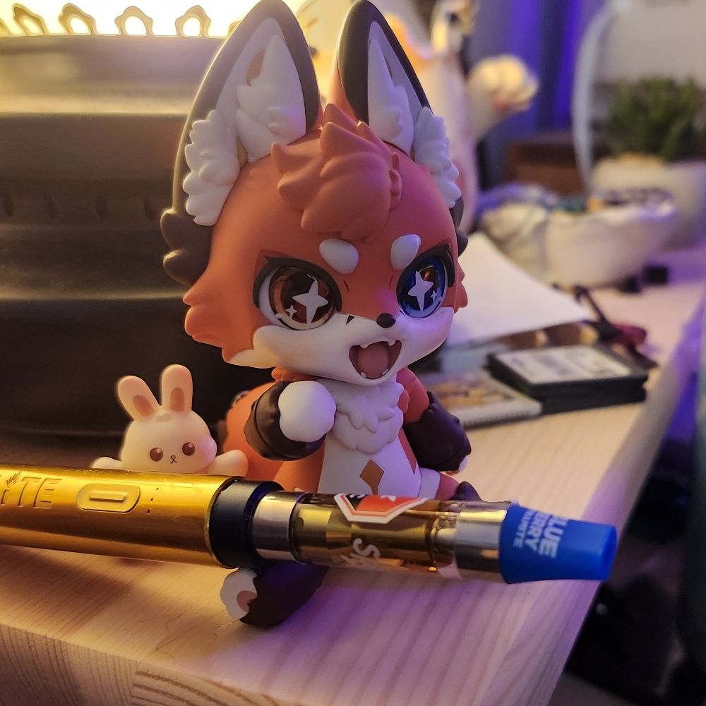 vulpes 🦊 morsus