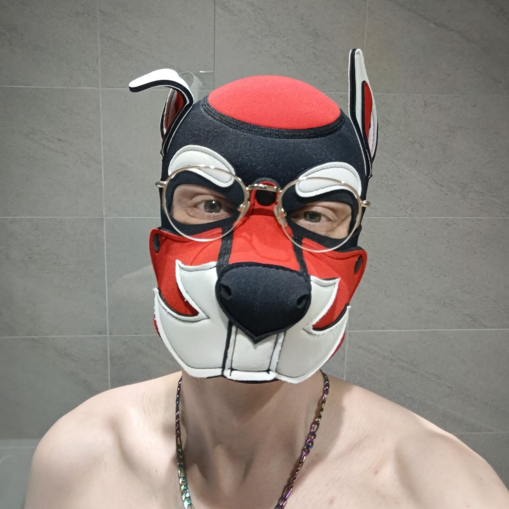 Pup Amon