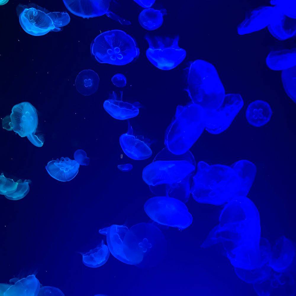 水流
