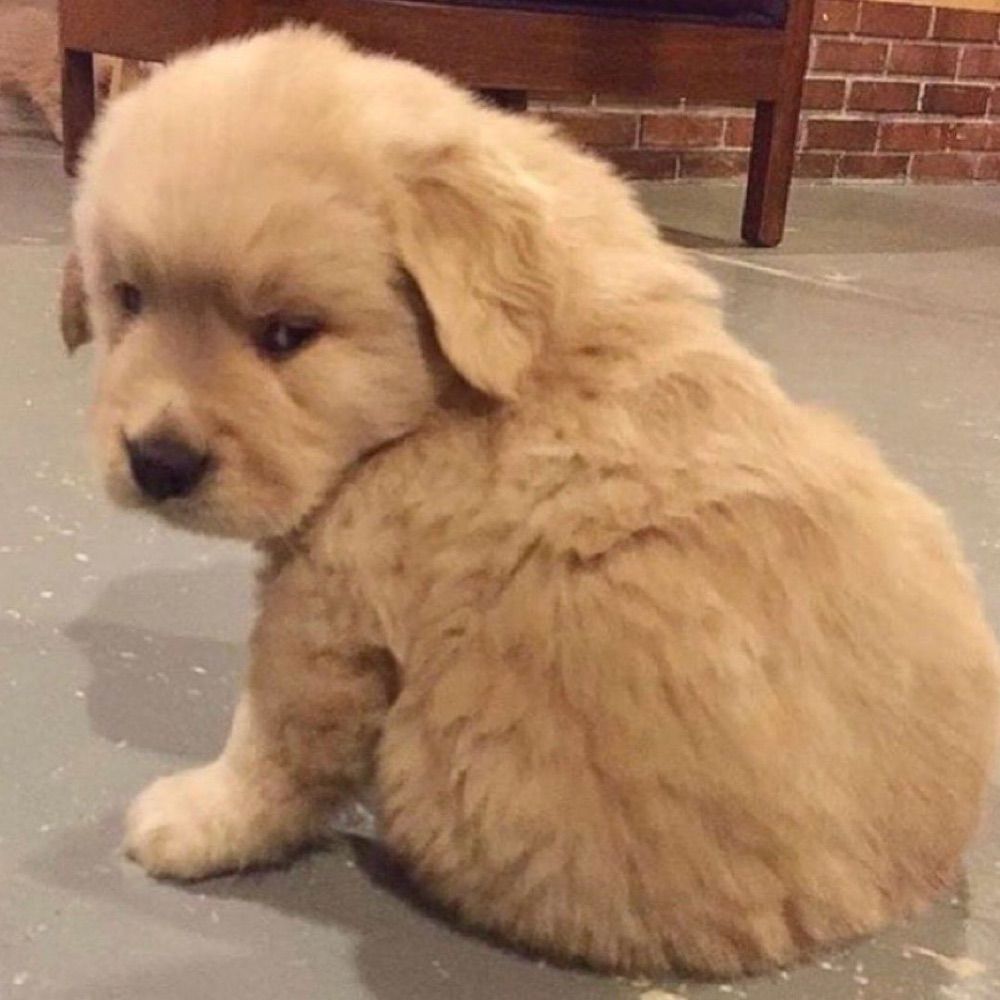 นี่เป็นติ่ง🌟🥰
