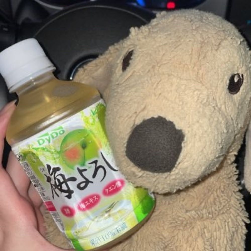 ぽち