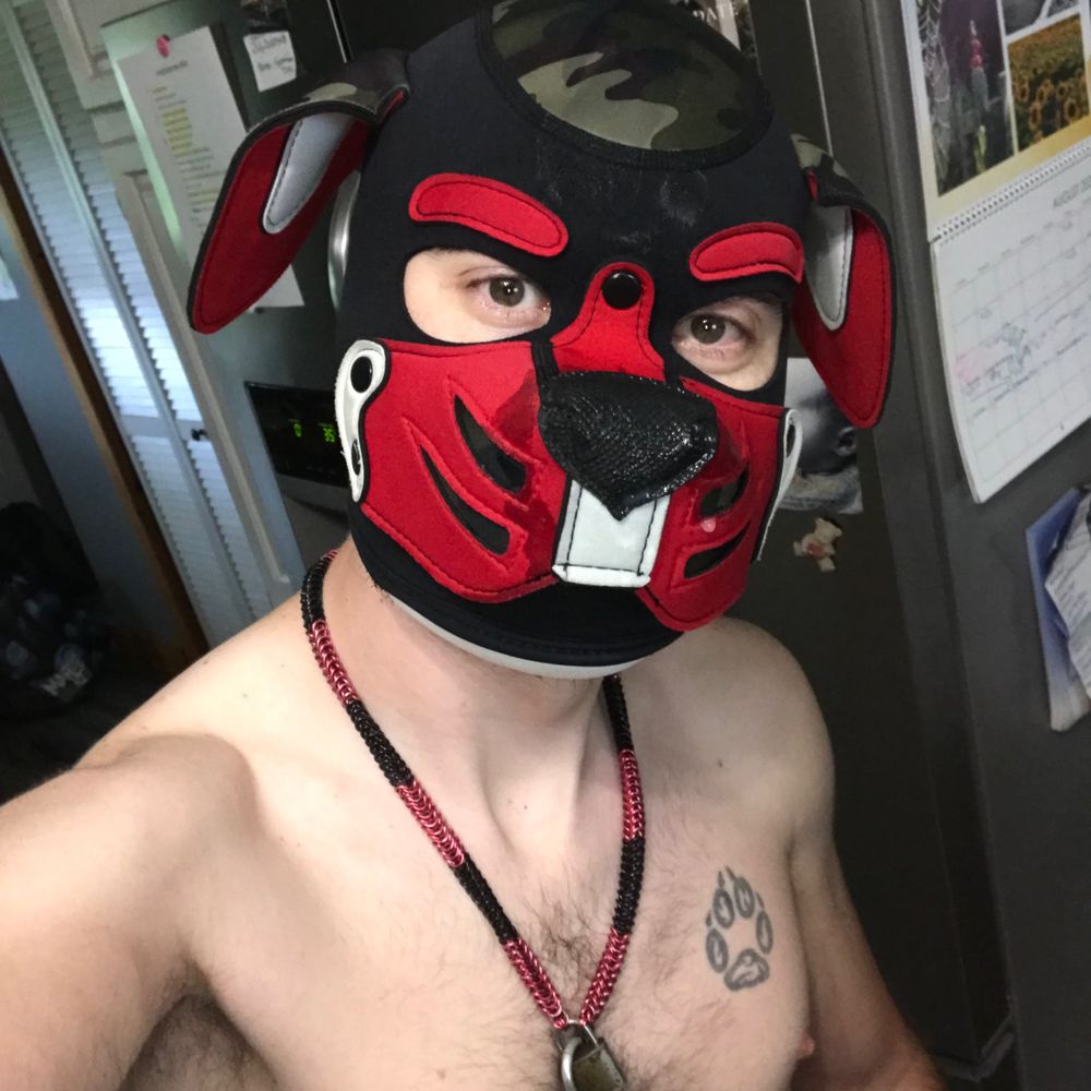 Pup Foxtrot